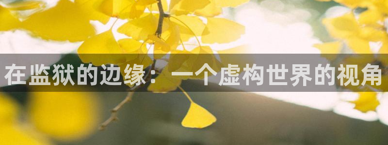 51动漫大全动漫免费：在监狱的边缘：一个虚构世界的视角